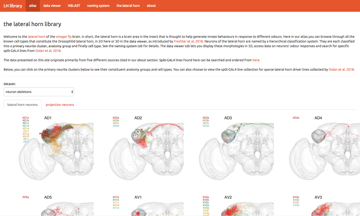 http://jefferislab.org/si/lhlibrary