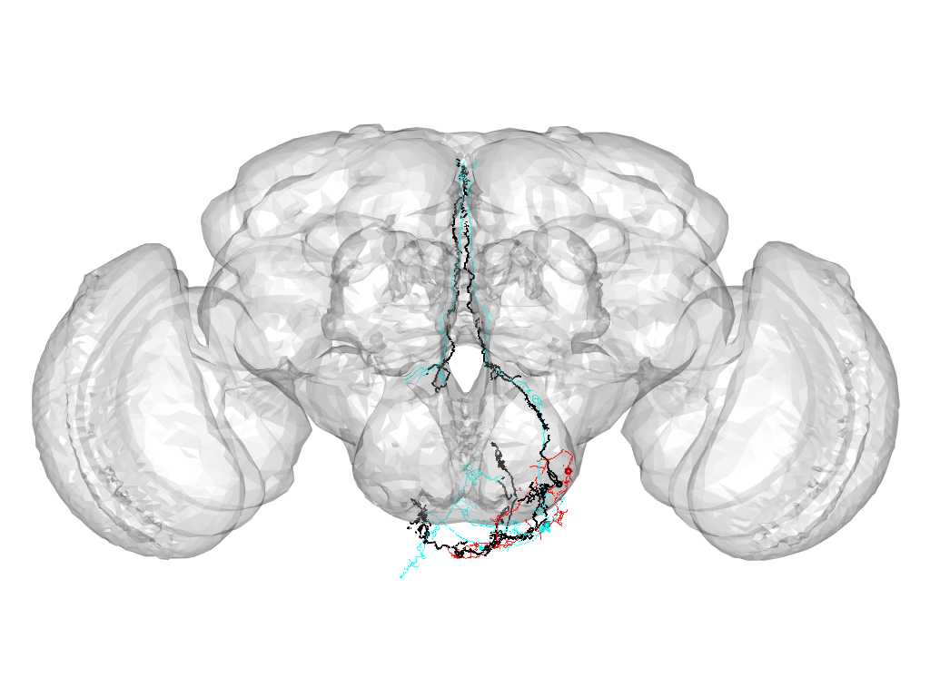 Click for 3D rendering of cluster