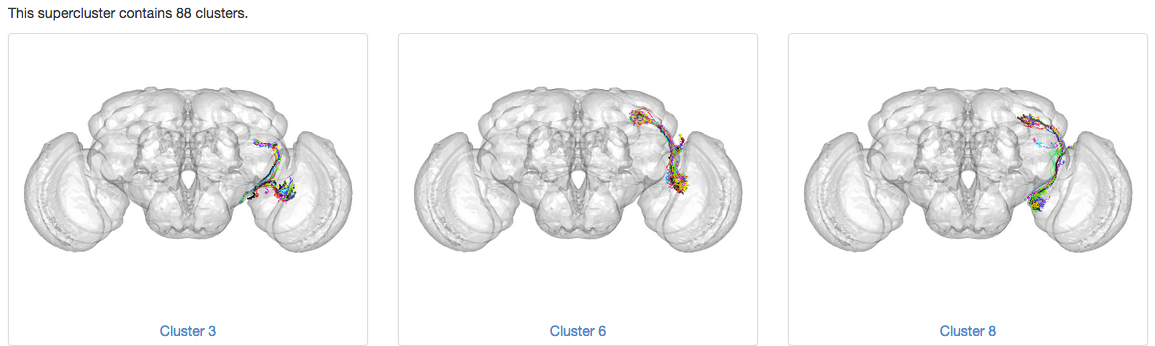 Browsing clusters online