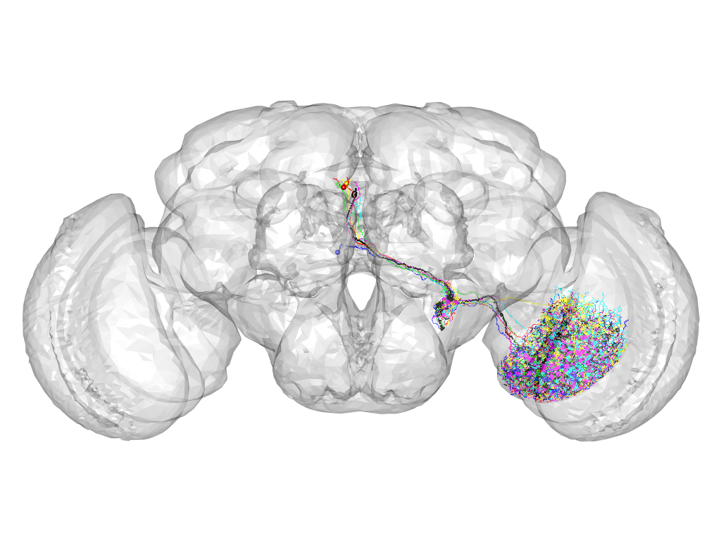 Click for 3D rendering of cluster