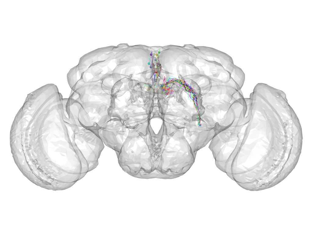Click for 3D rendering of cluster